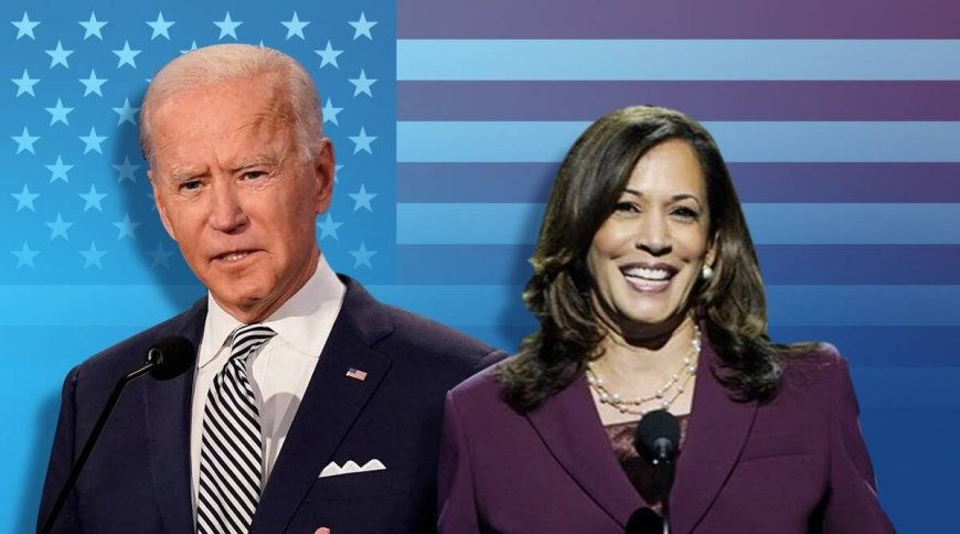 The First AI Election in US: Threats and Opportunities for Democracy?
