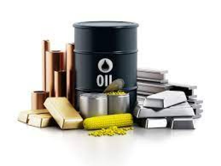 Investing in Commodities: Pros, Cons, and What You Need to Know
