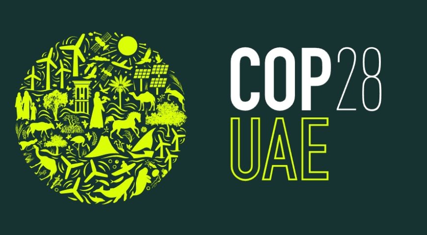 Major Global Traders Take a Stand Against Harmful Soy Purchases, Aiding Conservation in South American Grasslands