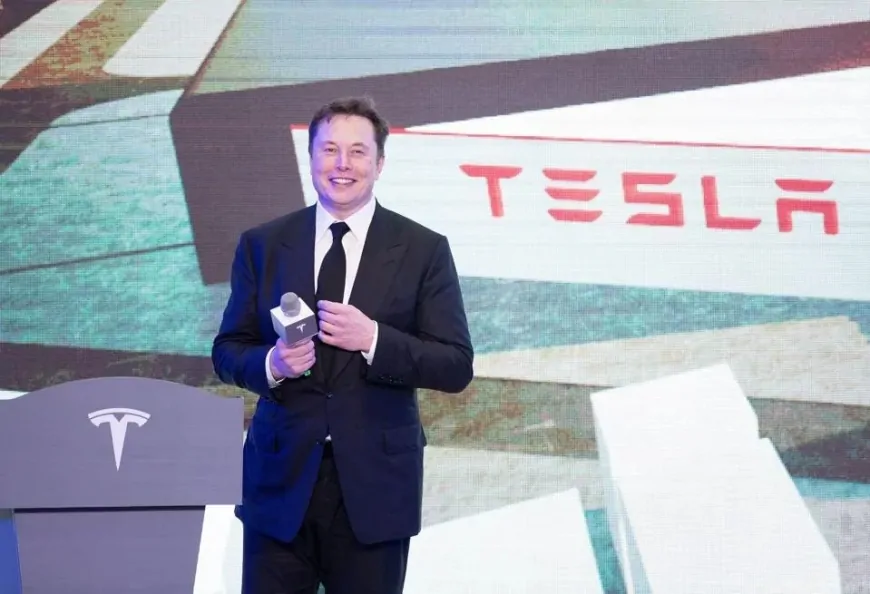 Elon Musk Reduces DOGE Role to Refocus on Tesla; Stock Soars 7%​