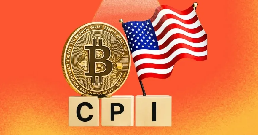 Bitcoin Falls 6% After June CPI Data Cuts Fed Rate Expectations
